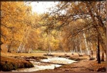 Алмазная мозаика "Осенний лес"