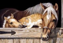 Алмазная мозаика "Кот и лошади"