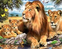 Алмазная мозаика "Семья львов на отдыхе"