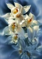 Алмазная мозаика "Нежные орхидеи"