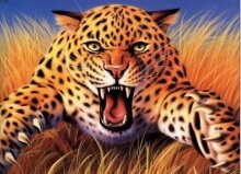 Алмазная мозаика "Атака Леопарда"