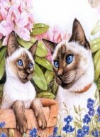 Алмазная мозаика "Сиамские кошки"