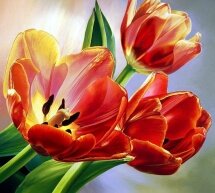 Алмазная мозаика "Огненные тюльпаны"
