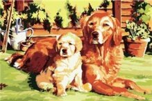 Алмазная мозаика "Собаки на солнышке"