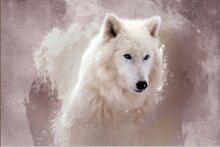 Алмазная мозаика "Белый волк"