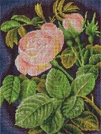 Наборы для вышивания "PANNA" "Кремовая роза"