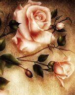 Алмазная мозаика "Нежные розы"
