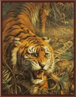 Раскраски по номерам "Тигр на охоте"
