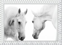 Алмазная мозаика "Белые лошади"