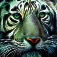 Алмазная мозаика "Сказочный тигр"