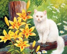 Алмазная мозаика "Белый котик"