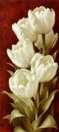 Алмазная мозаика "Белые махровые тюльпаны"