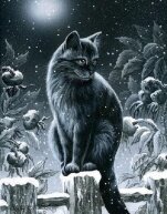 Алмазная мозаика "Зимний кот"