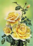 Алмазная мозаика "Желтые розы на рассвете"