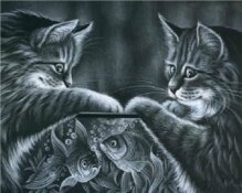Алмазная мозаика "Кошки и рыбки"