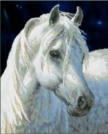 Алмазная мозаика "Белая лошадь"