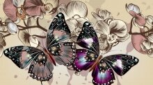 Алмазная мозаика "Прекрасные бабочки"
