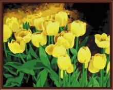 Раскраски по номерам "Жёлтые тюльпаны"