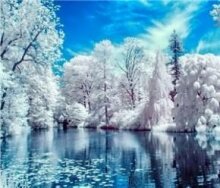 Алмазная мозаика "Зимнее озеро"