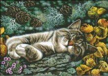 Алмазная мозаика "Кот отдыхает"