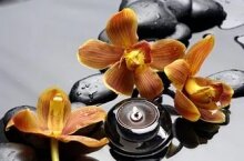 Алмазная мозаика "Желтые орхидеи и камни"