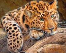 Алмазная мозаика "Леопард на камнях"